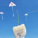 세종메디텍 이미지