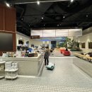 웰니스동물병원 스타필드 고양 이미지