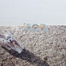 영진이용소 - 구미시 지산5길 8-48 | 영진이용소
