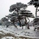 목림농장 Daum카페