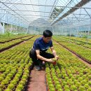 태선농장 이미지