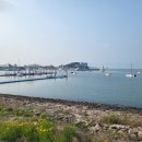 보은용사촌.펜션단지 이미지