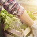 맘마농장 이미지