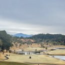 골든팜 | 가고시마 명문 골든팜cc 라운드 후기