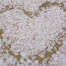 정원한옥민박 이미지