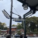 여주-0862 | [유자 인 오사카] DAY3~4 :: 교토 반나절 찍먹 (야사카 신사-산넨자카 니넨자카-청수사 기요미즈데라...