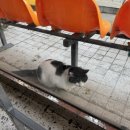 만리장성수산 이미지