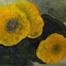 연꽃향기 이미지