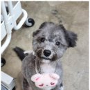 미소짓는케어 이미지