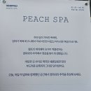 성수 휩드 팝업 현장 웨이팅과 증정품 후기