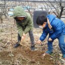 준이농장1 이미지