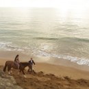 심스호텔 이미지