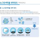 21세기 세탁 이미지