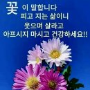 요양원에 가기 싫으시면~~ 이미지