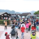 곡성-229 이미지