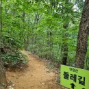만장 이미지
