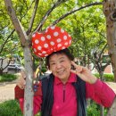 황금2동 제1경로당 이미지