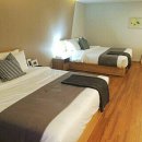 비스타케이호텔 월드컵 이미지