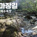 코난민박 네이버블로그