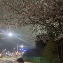 이리온애견펜션 | 4월 가연이의 일상