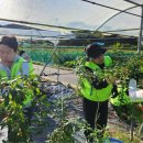 김기훈농장 이미지