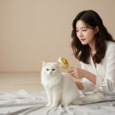 5137 쇼핑하우
