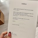 상남가인공인중개사사무소 | 「신사 가로수길」 분위기 맛집 ‘에클리코 eclico’ 디너코스 후기. 솔직리뷰