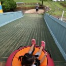 1727노리터 | [제주도 4일차] 아이와 함께 제주, 1727노리터, 만남가든 한식뷔페, 이호테우해변, 가리본가 그리고 집...