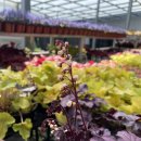 대림가든 이미지