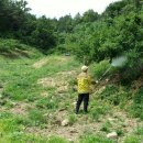 하루세차 이미지