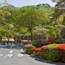 성주산자연휴양림 이미지