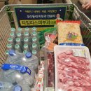 위크팜글램핑 | 가평 위크팜 펜션 글램핑 1박2일 후기
