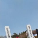 상록수관광
