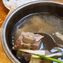 포호치민
