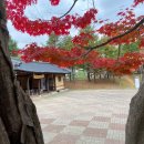 더곤지암 이미지