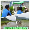 복자농장 이미지