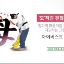 즐거운베스트태권도 이미지
