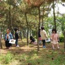 새예지유치원 이미지