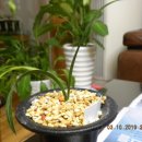 채운산방 이미지