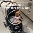 프렌드리스토어 | 수원 스타필드 개모차 대여 안내 강아지와 함께 가기 좋은 곳