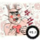 하버드약국 이미지