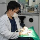 보스톤미소치과의원 이미지