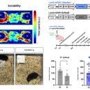 충남대학교 신약전문대학원 이미지