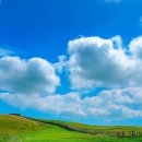 박해목장 이미지