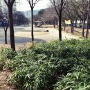 동변근린공원