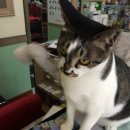 동심동물병원 이미지