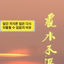 普洱茶의 效能과 香氣, 味 감별 방법에 대하여.... 이미지