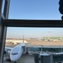 622 | 에어프레미아 다낭 YP621, YP622 왕복 후기 12월 탑승 최신정보 (온라인체크인, 기내식, 이코노미)