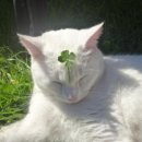 동의대학교 이미지