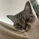 카다이스24시셀프세차장